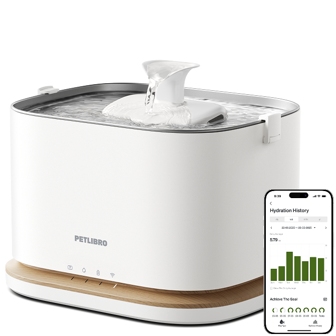 PETLIBRO Dockstream 2 Review: The Pumpless Fountain That Fixes Cleaning, Not Multi-Cat Tracking