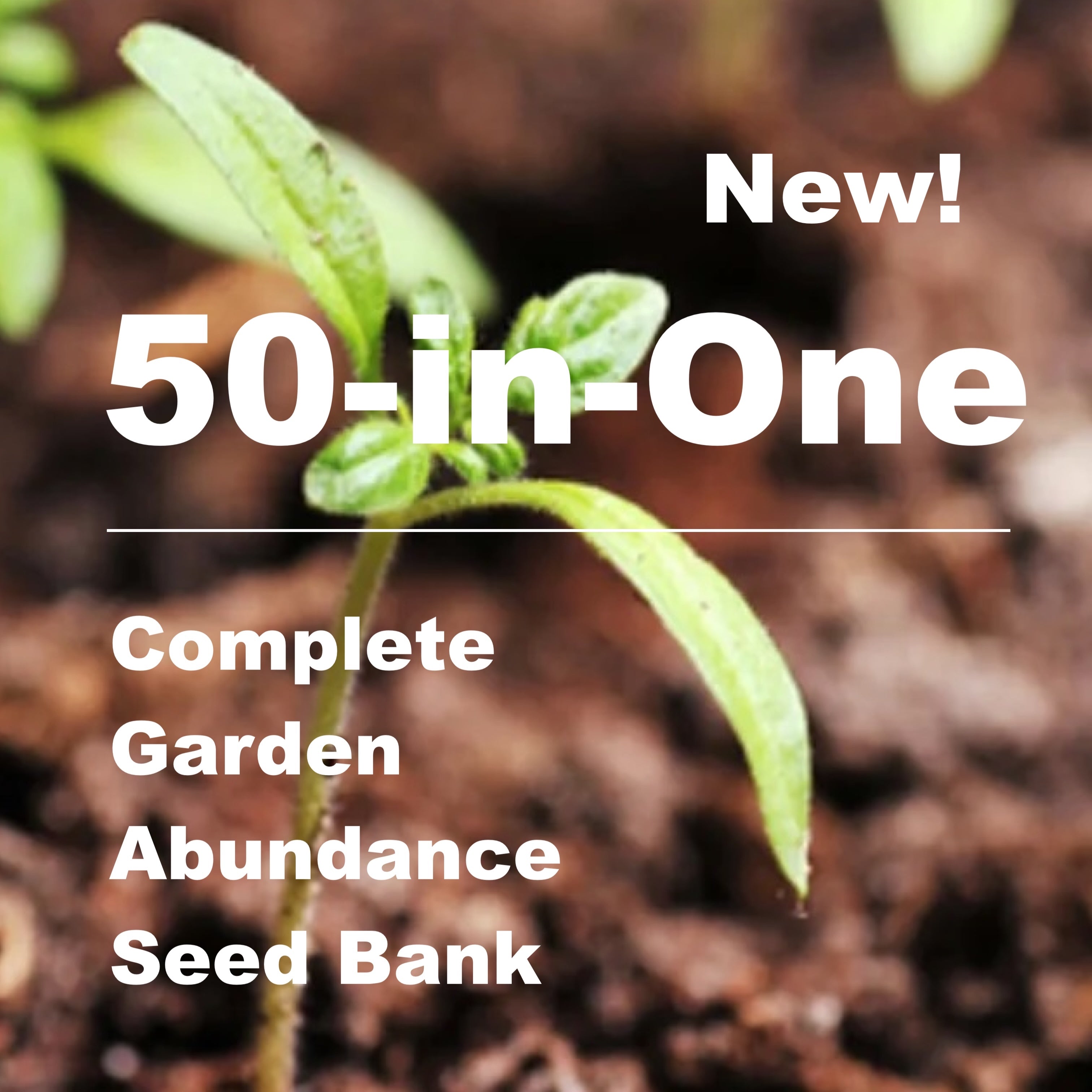 SeedsNow Complete Garden Abundance Seed Bank Review: 50 Heirloom Varieties in a Vacuum Vault